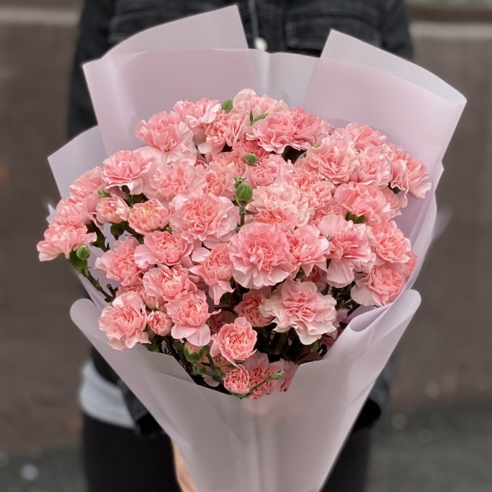 Букет из 25 кустовых нежно-розовых гвоздик