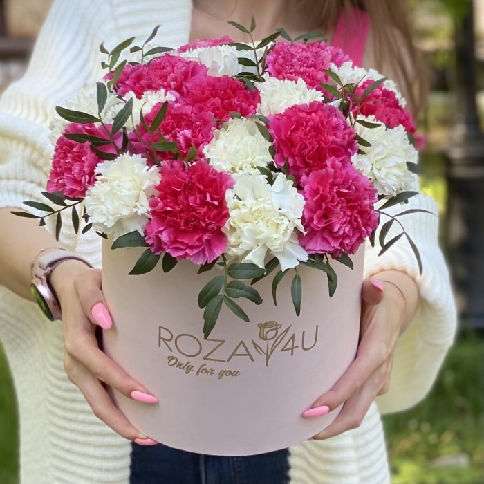25 малиновых и белых гвоздик в коробке