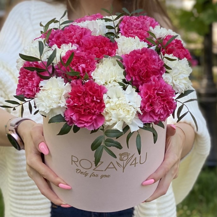 25 малиновых и белых гвоздик в коробке