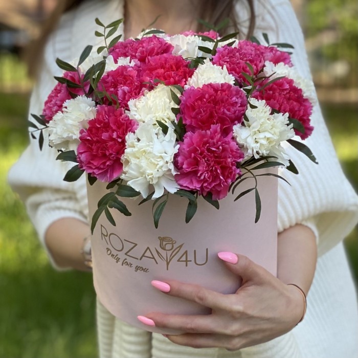 25 малиновых и белых гвоздик в коробке