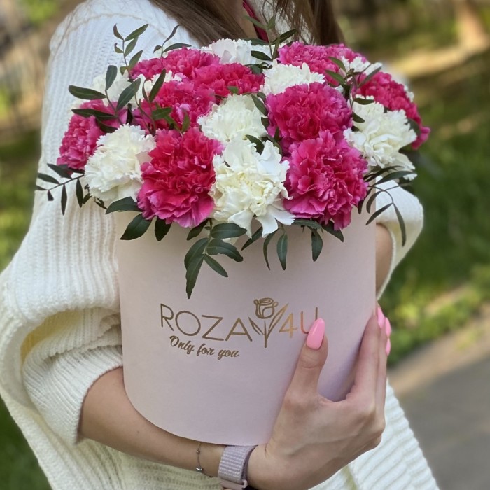 25 малиновых и белых гвоздик в коробке