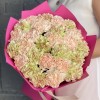 25 персиковых и зеленых гвоздик