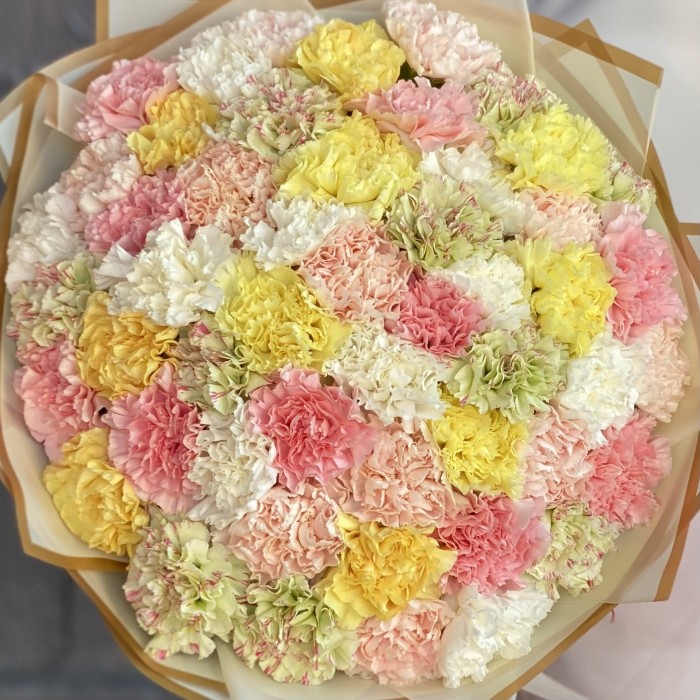 51 гвоздика летний микс