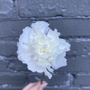 Описание изображения