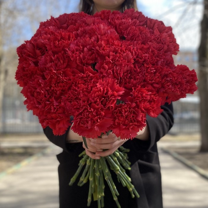 Гвоздика красная