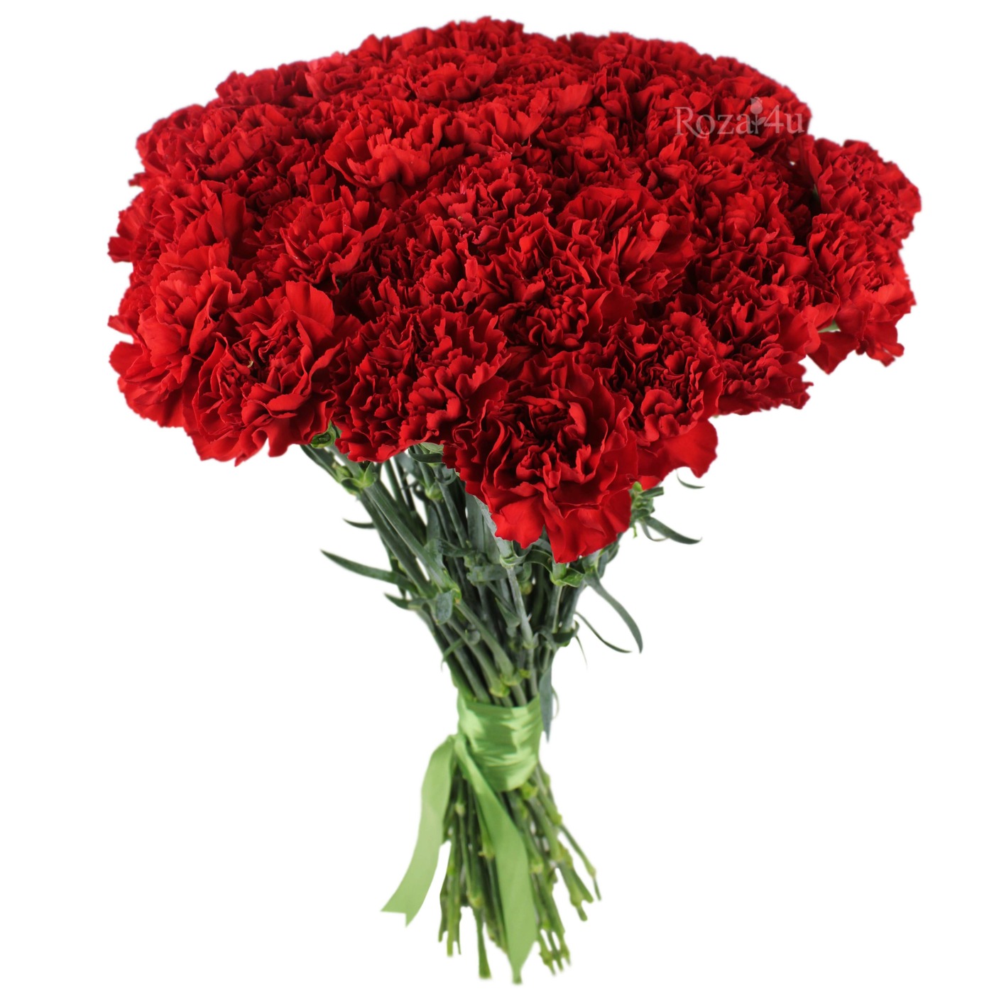 Купить гвоздики с доставкой по москве цена черной розы