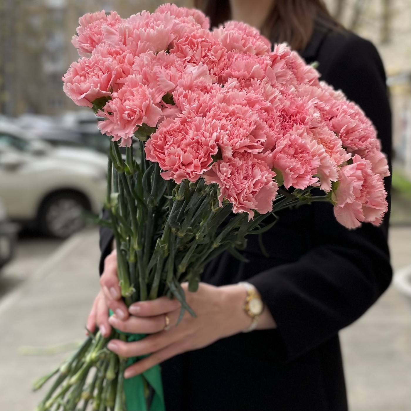 Купить гвоздики с доставкой по москве купить домашние цветы на авито в москве