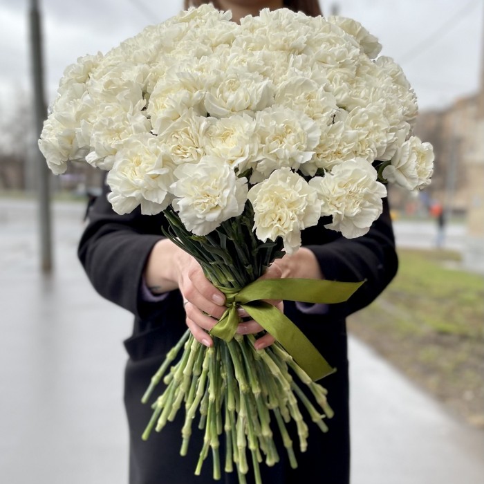 Гвоздика белая