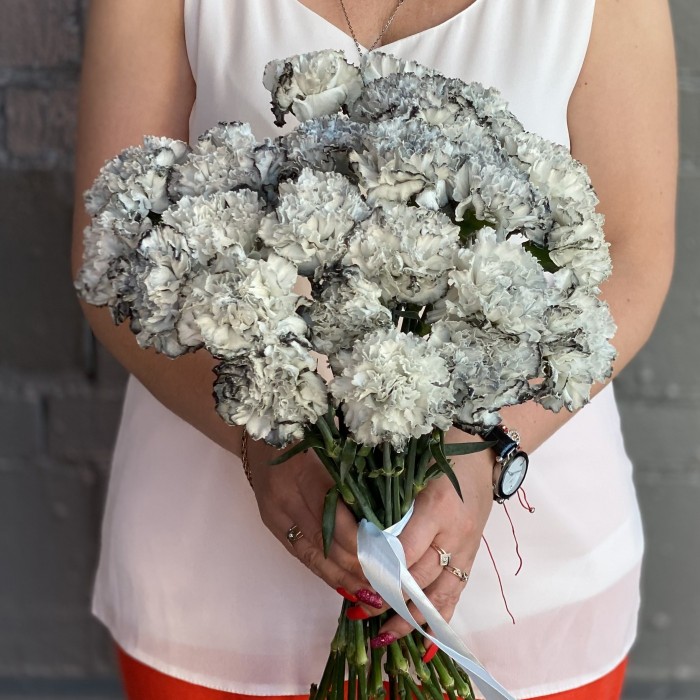 Гвоздика Блэк Молли