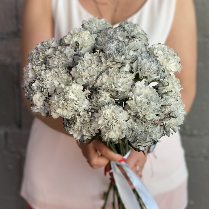 Гвоздика Блэк Молли