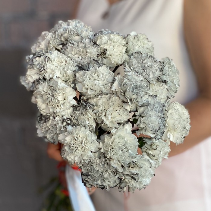 Гвоздика Блэк Молли