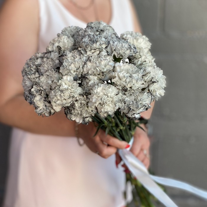 Гвоздика Блэк Молли