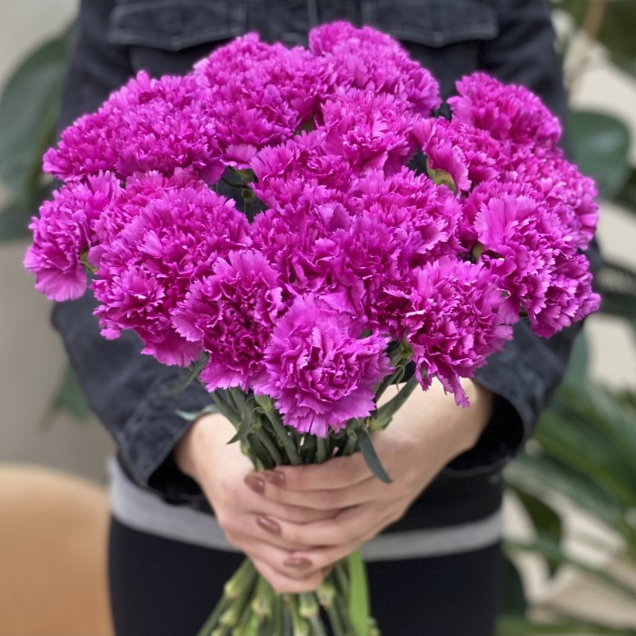 Гвоздика фиолетовая