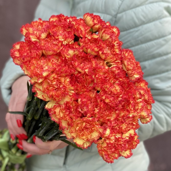 Гвоздика желто-оранжевая