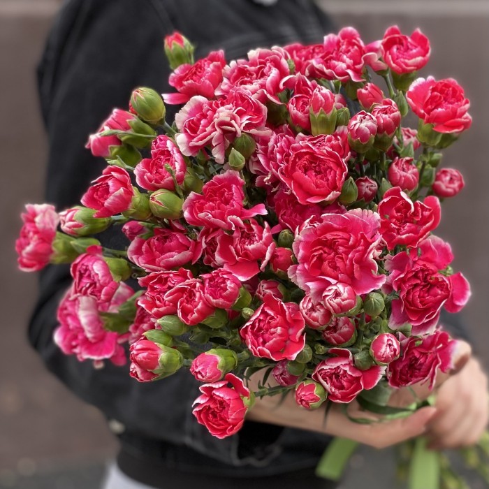 Кустовая малиновая гвоздика