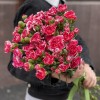 Кустовая малиновая гвоздика