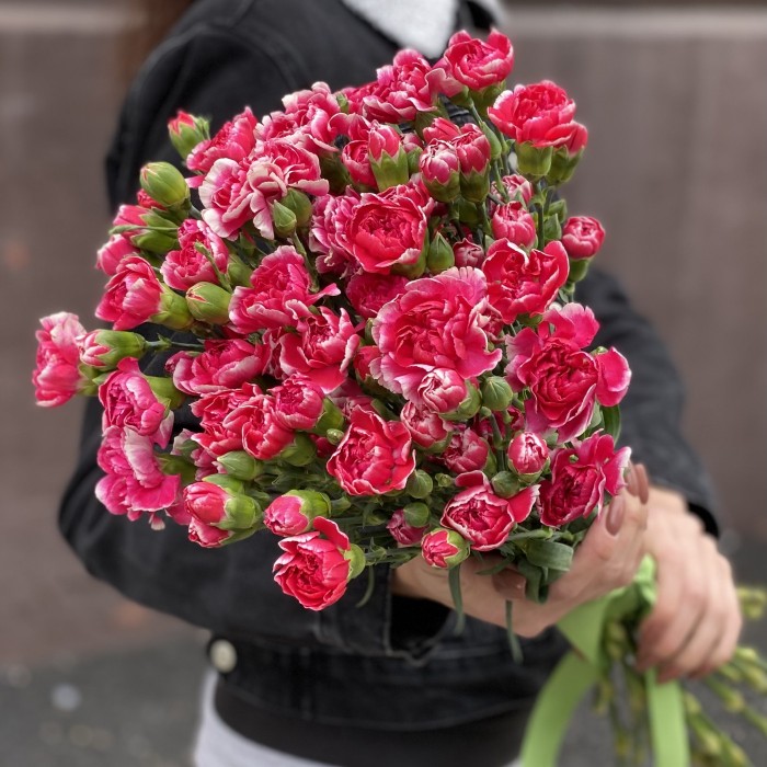 Кустовая малиновая гвоздика