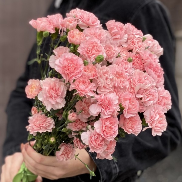 Кустовая нежно-розовая гвоздика