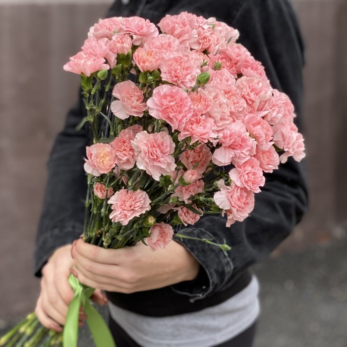 Кустовая нежно-розовая гвоздика