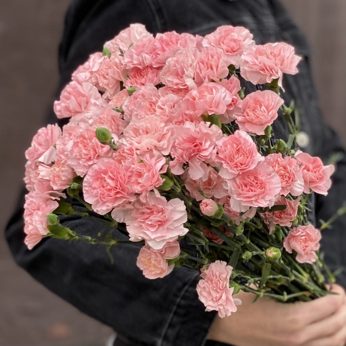 Кустовая нежно-розовая гвоздика