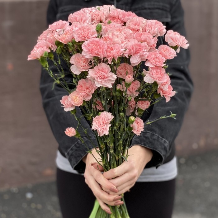 Кустовая нежно-розовая гвоздика