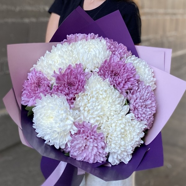 13 белых и сиреневых хризантем