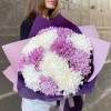 13 белых и сиреневых хризантем