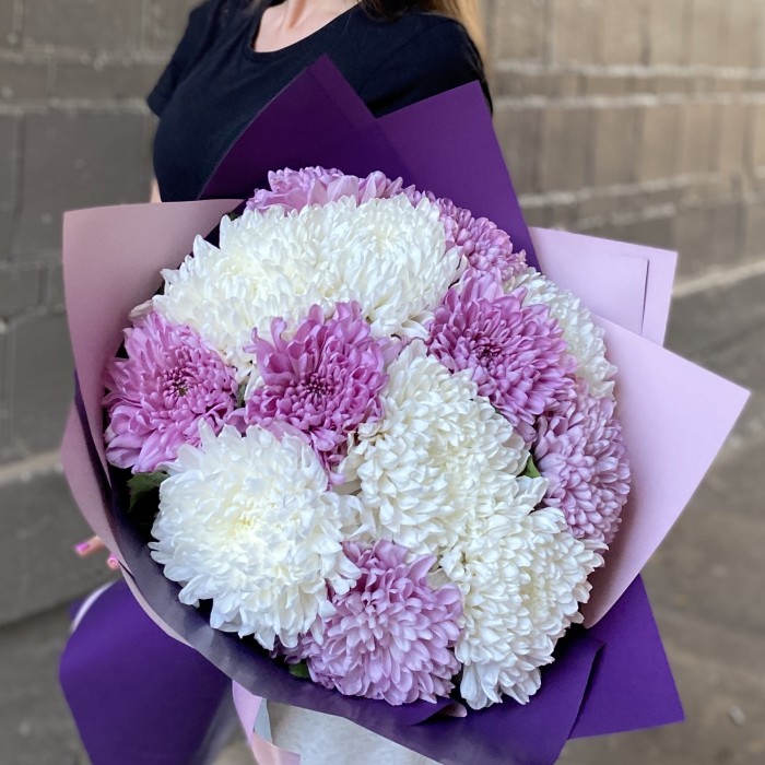 13 белых и сиреневых хризантем
