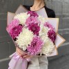 13 белых, фиолетовых и сиреневых хризантем