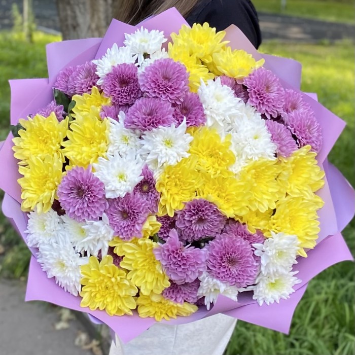 15 кустовых хризантем Летний микс