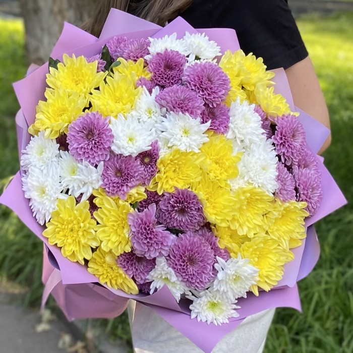 15 кустовых хризантем Летний микс