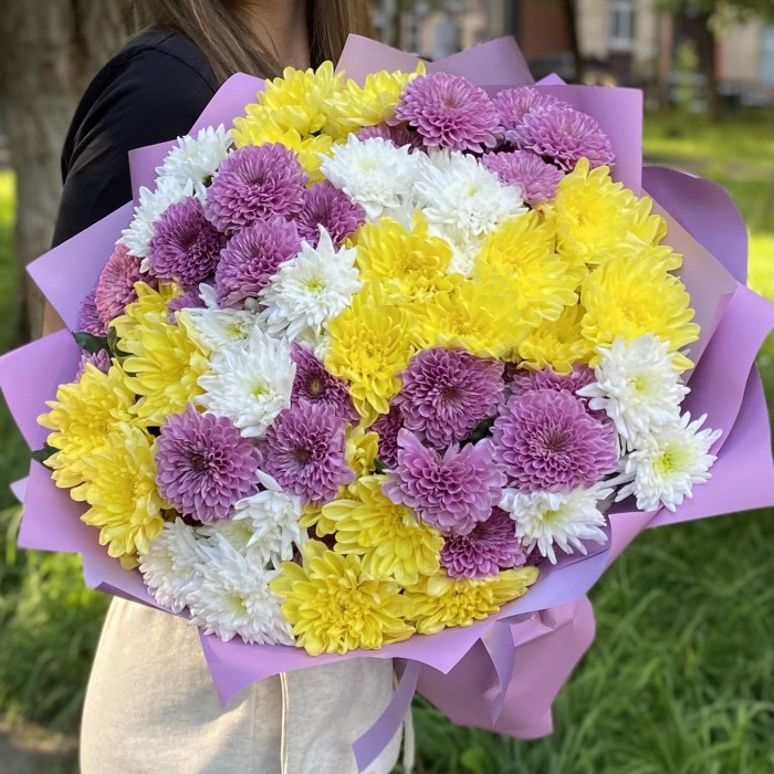 15 кустовых хризантем Летний микс
