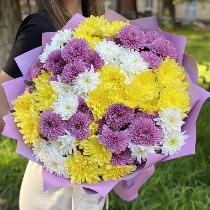 15 кустовых хризантем Летний микс
