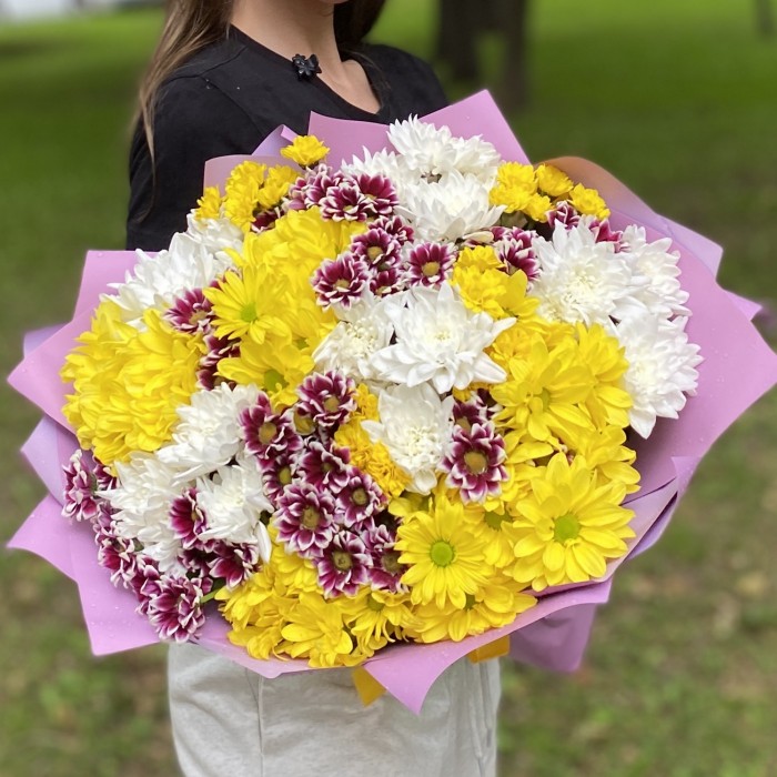 25 кустовых хризантем Яркий микс
