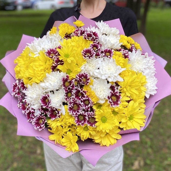 25 кустовых хризантем Яркий микс