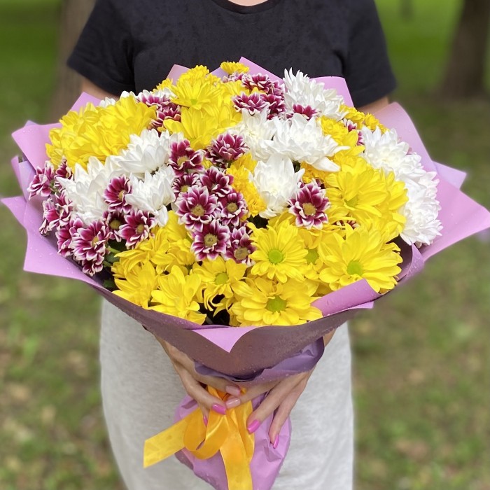 25 кустовых хризантем Яркий микс