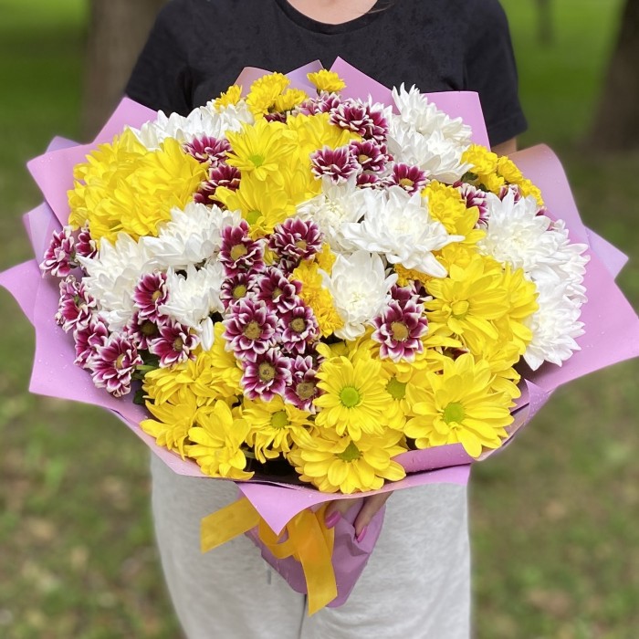25 кустовых хризантем Яркий микс