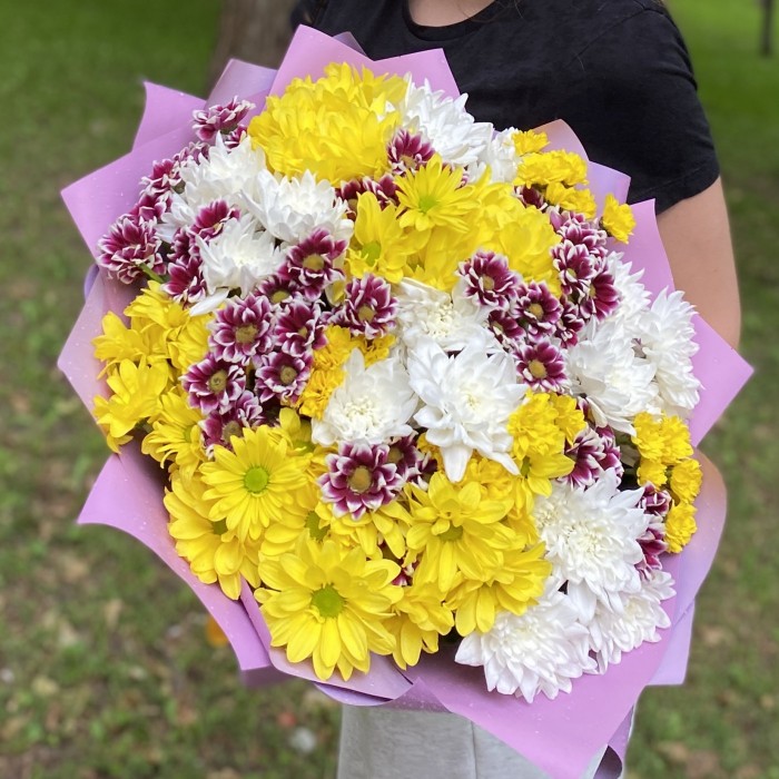 25 кустовых хризантем Яркий микс