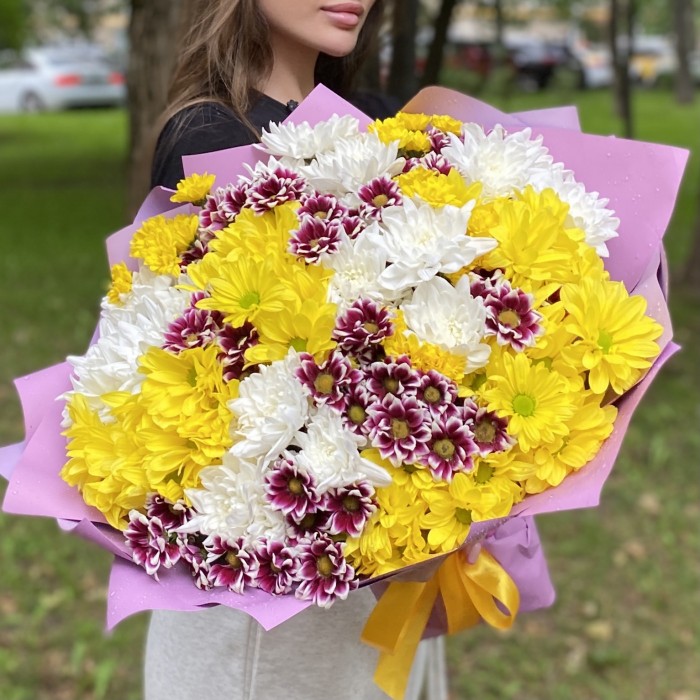 25 кустовых хризантем Яркий микс