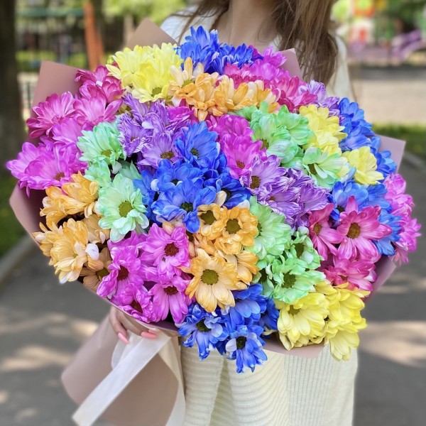 25 радужных кустовых хризантем