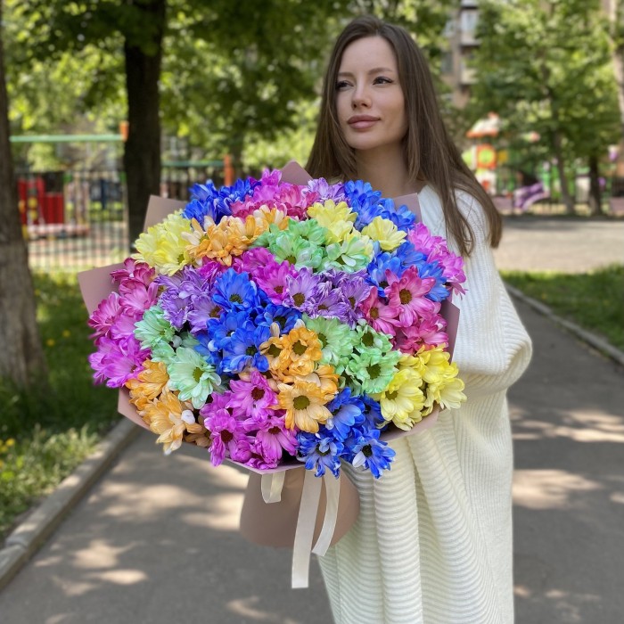 25 радужных кустовых хризантем