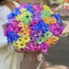 25 радужных кустовых хризантем