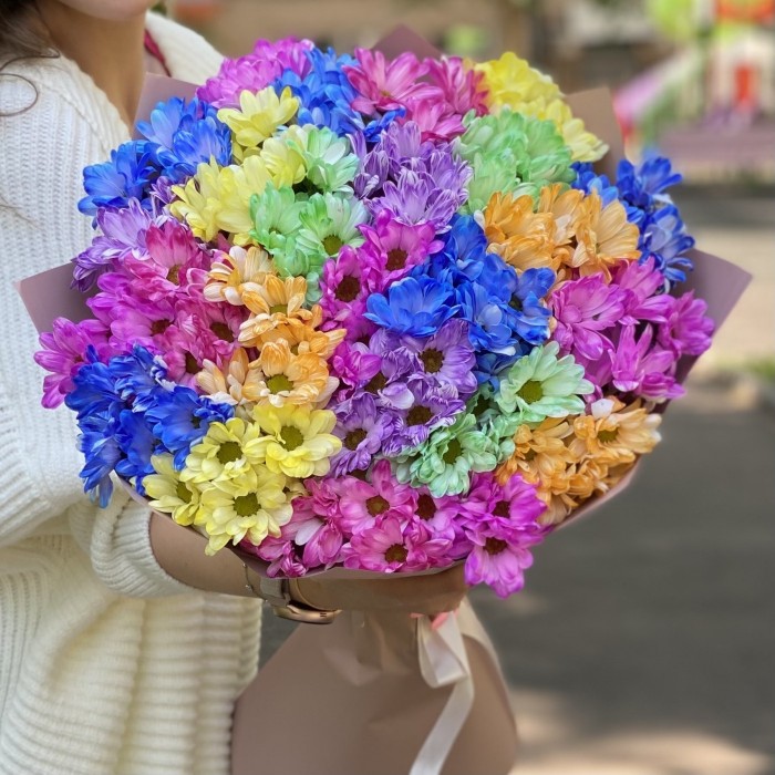 25 радужных кустовых хризантем