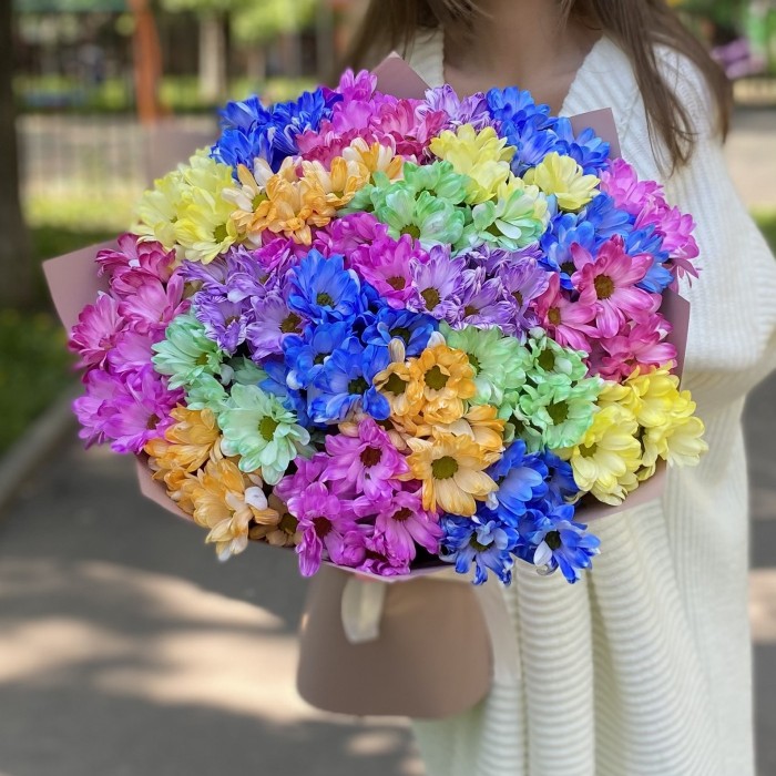 25 радужных кустовых хризантем