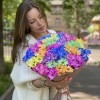 25 радужных кустовых хризантем
