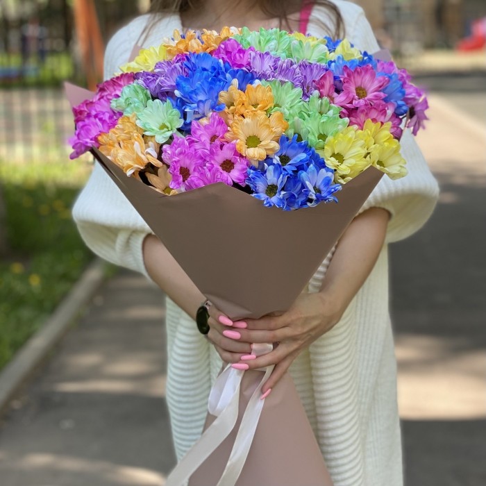 25 радужных кустовых хризантем
