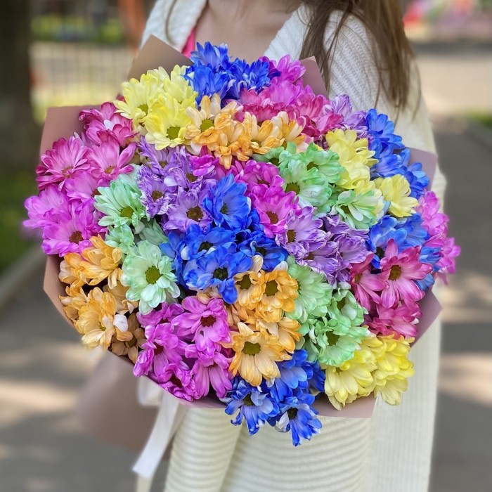 25 радужных кустовых хризантем