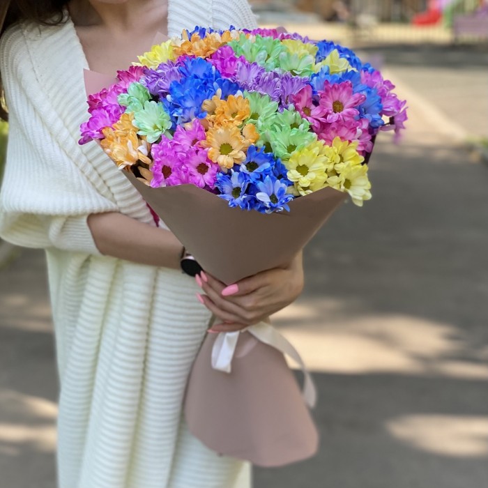 25 радужных кустовых хризантем