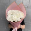 5 белых хризантем Магнум