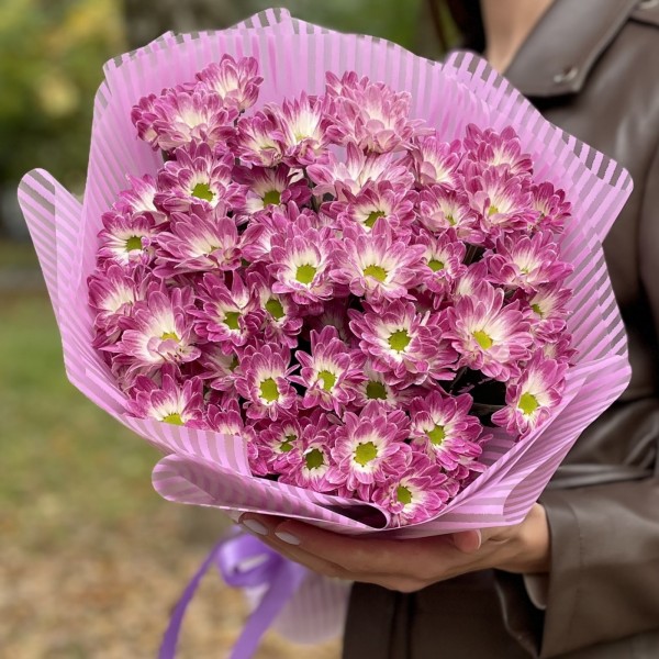 9 бело-фиолетовых кустовых хризантем Бакарди